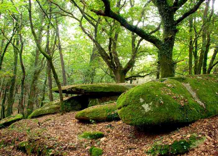 Dolmen St Jean Brévelay © F. Plessis