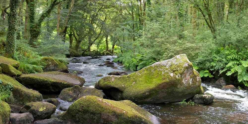 Rivière Brocéliande © M. Schaffner